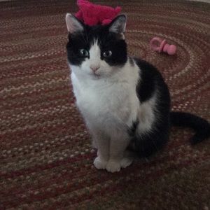 Meet your Posher, Pamela